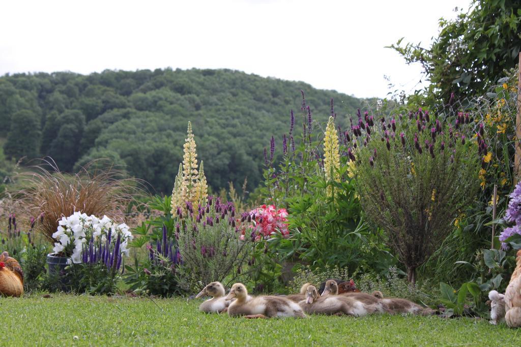 Pandy B&B Dorstone ภายนอก รูปภาพ